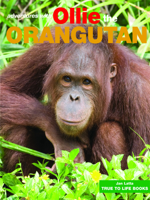 Title details for Ollie the Orangutan by Jan Latta - Available